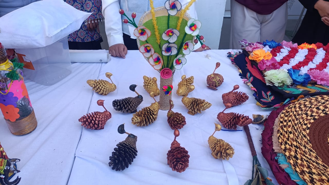 Diwali Mela 2025: A Celebration of Light, Culture, and Sustainability 